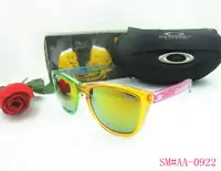 acheter sunglasses oakley 2013 lentille beau oakley good-9019